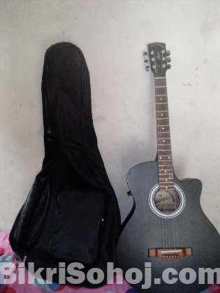 Acoustic Guiter